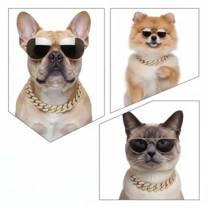 Coola djur med glasögon och lyxiga guldkedjor