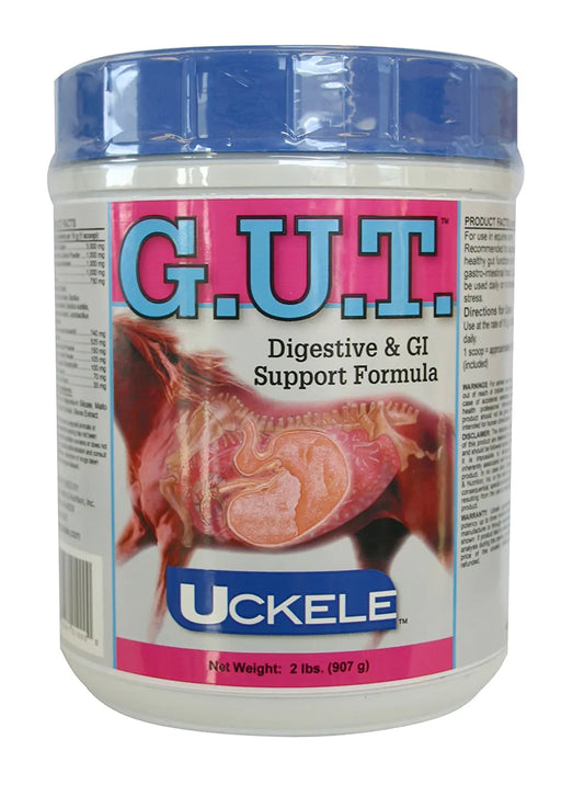 Uckele Gut Horse Supplement - Equine Vitamin & Mineral Supplement - 2 pound (lb)