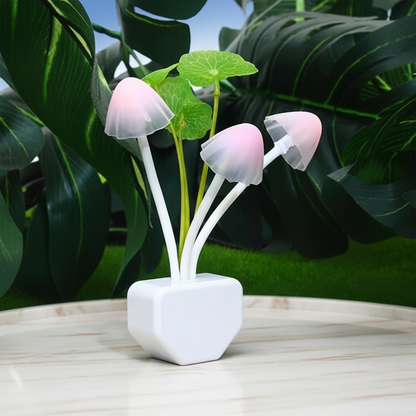 Premium Mushroom Night Lights
