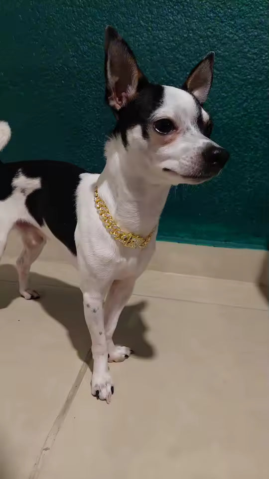 Luxury Gold Dog/Cat Chain Collar