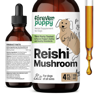 Red Reishi Mushroom Tincture for Dogs - Immune Support Mushroom Supplement - Liquid Mushroom Drops for Pets w/Reishi Extract - Liquid Vitamins and Supplements for Immunity Support - 4 oz
